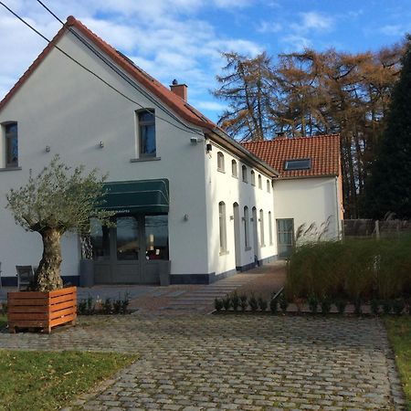 Villa Les Hauts Frasnes-lez-Anvaing Eksteriør billede